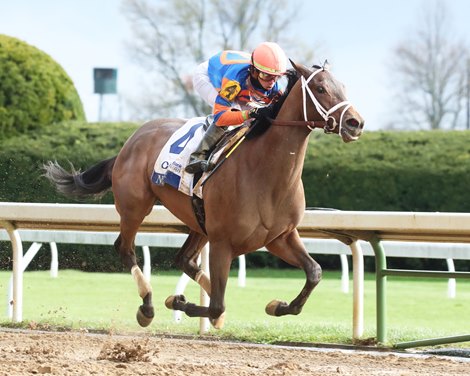 Repole Takes Aim at Belmont Stakes With Pair of Runners - BloodHorse