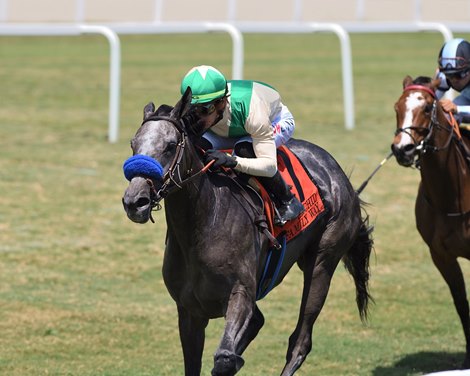 Family Way wins the 2022 Orchid Stakes at Gulfstream Park