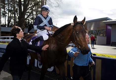 Piz Badile ridden by Gavin Ryan wins the P.W. McGrath Memorial Ballysax Stakes (Group 3). Leopardstown. 02.04.2022