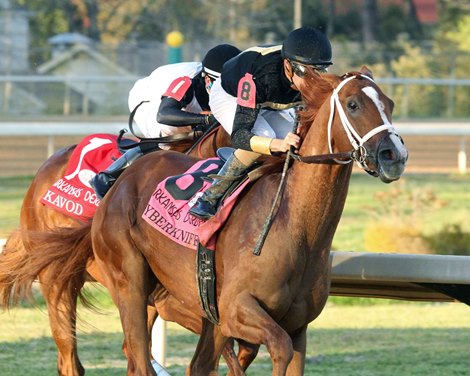 Haskell, Cyberknife Bring Gold Back Home to New Jersey Haskell, Cyberknife Bring Gold Back Home to New Jersey