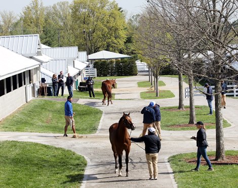 Scenics, 2022 April Horses of Racing Age Sale at the end of the 2022 Keeneland Spring Meet