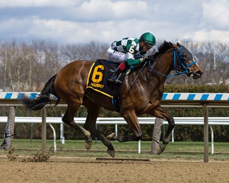 Glass Tran wins the 2022 Distaff Handicap at Aqueduct