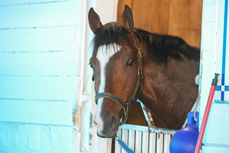 Zozos at Churchill Downs, April 7, 2022