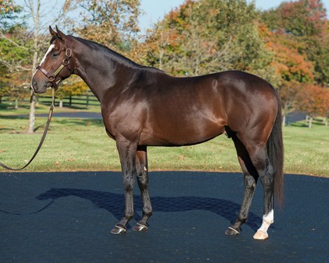 Yoshida, WinStar Farm