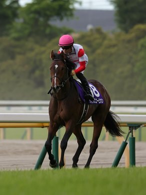 Danon Scorpion wins 2022 NHK Mile Cup at Tokyo Racecourse