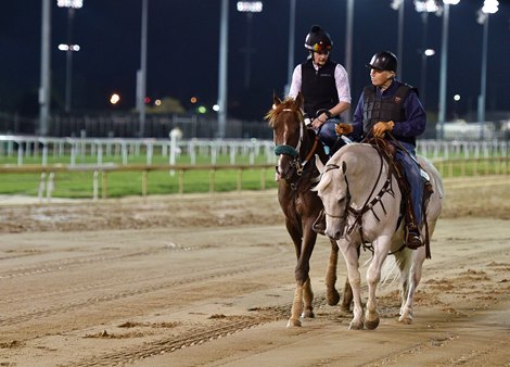 May 1, 2022: Trainer D. Wayne Lukas and exercise rider Danielle Rosier discuss how Secret Oath handled the muddy track Sunday morning at Churchill Downs<br><br />
Rick Samuels/The Blood-Horse