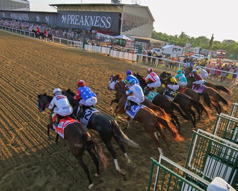 Preakness Stakes: Most Up-to-Date Encyclopedia, News & Reviews