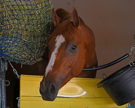 Fenwick<br>
Preakness coverage at Pimlico Racecourse on May 18, 2022.
