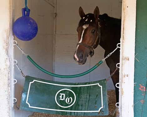 Happy Jack<br>
Preakness coverage at Pimlico Racecourse on May 18, 2022.