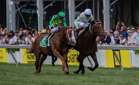 Joe wins the 2022 James W. Murphy Stakes at Pimlico