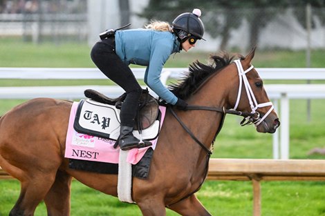 Nest, trained by Tod Pletcher on track during training hours at Churchill Downs Race Track Wednesday May 4, 2022 in Louisville, KY.
