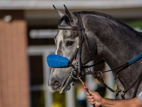 Creative Minister - Pimlico, May 18, 2022