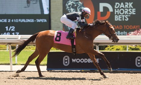 Adora, with jockey Patrick Husbands wins a maiden special weight Saturday, May 14, 2022 at Woodbine