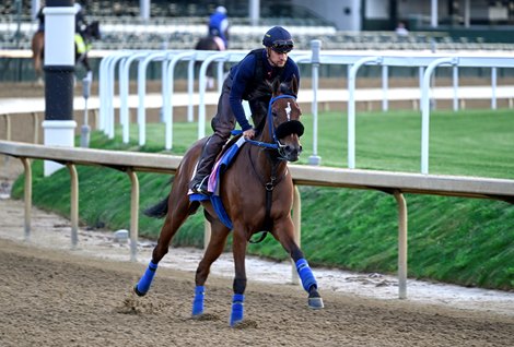 Desert Dawn on track during training hours at Churchill Downs Race Track Thursday May 5, 2022 in Louisville, KY