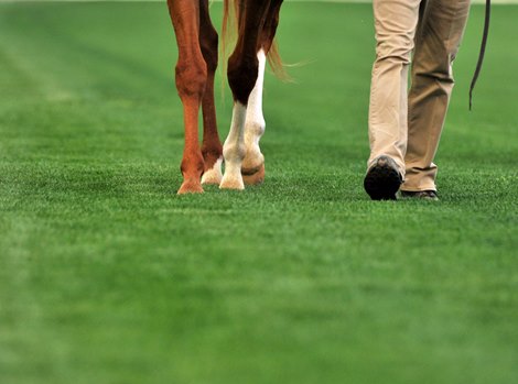April 30, 2022: First race on the new Churchill Downs Turf course...<br>
Rick Samuels/The Blood-Horse
