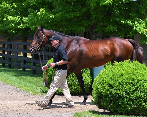 Life is Good at Open House with Nashville, Country Grammer, and Life is Good at WinStar in Versailles ,, Ky., May 12, 2022.