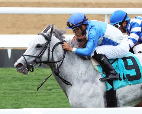 GRAY'S FABLE - The Opening Verse Overnight Stakes - Churchill Downs - 05-05-22