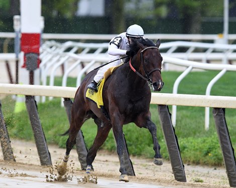 We the People wins the 2022 Peter Pan Stakes at Belmont Park