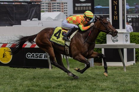 Pizza Bianca wins the Hilltop Stakes at Pimlico 5-20-22