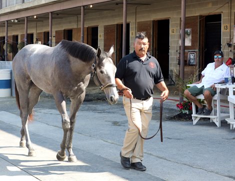 JR Boyd, Brick City Thoroughbreds, 2022 Fasig-Tipton Midlantic 2 YO in training sale