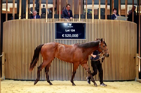 2022 Bán Arqana Breeze-Up, Lô 124