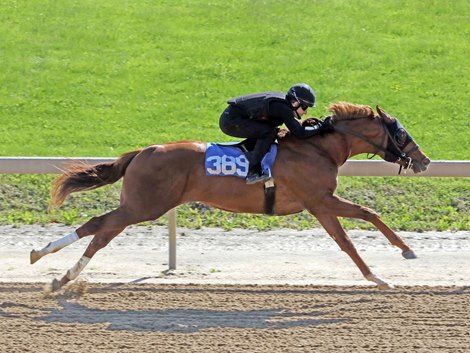 Hip 389, 2022 Fasig-Tipton Midlantic 2 Y-O-in Training Sale