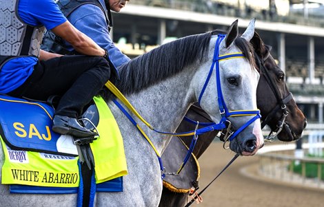 White Abarrio on track during training hours at Churchill Downs Race Track Thursday May 5, 2022 in Louisville, KY.