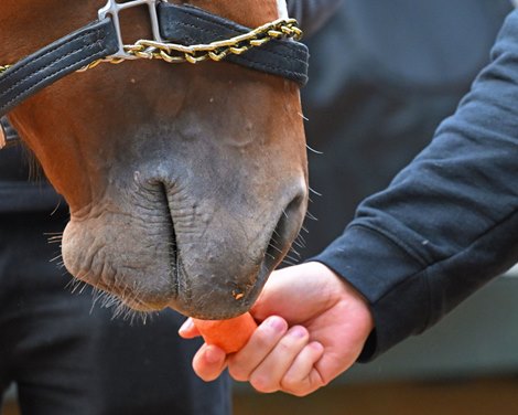 Jeremia Rudan with Fenwick<br>
Preakness coverage at Pimlico Racecourse on May 19, 2022.