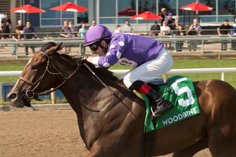 Artie Storm instructor David Moran won $175,000 (2nd Place) Stella Artois Eclipse.  Owned by the Buttigieg Training Center and coached by Paul M. Buttigieg, Artie's Storm covered 1 1/16 miles in 1.42.2.