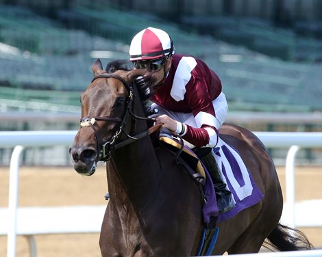 Flirting Bridge - Alw - CD - 052922