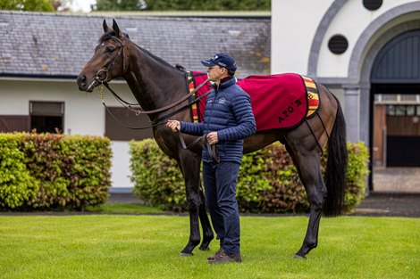 Aidan O’Brien with Derby trial winner Stone Age at Ballydoyle this morning.<br>
Photo: Patrick McCann/Racing Post<br>
09.05.2022