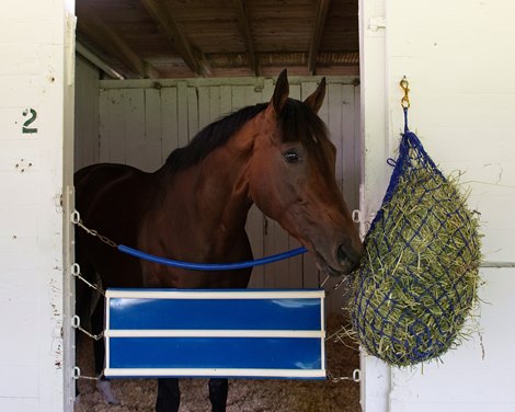 Simplification<br><br />
Training at Churchill Downs in Louisville, Ky., on May 1, 2022.