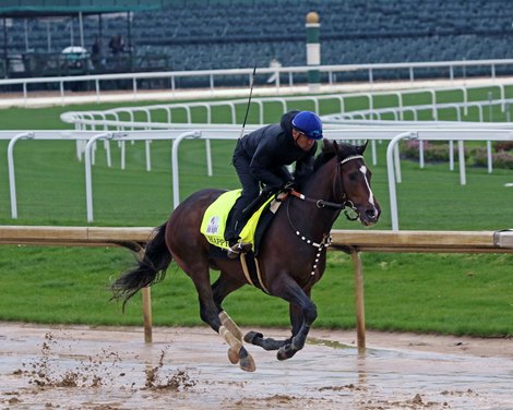 Happy Jack at Churchill Downs on May 3, 2022. Photo By: Chad B. Harmon