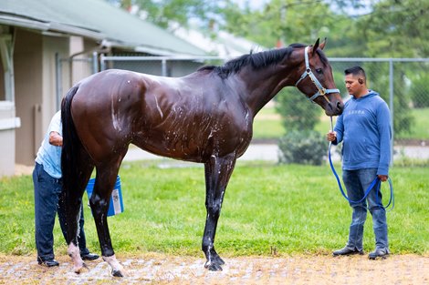 Simplification May 1 at Churchill Downs 