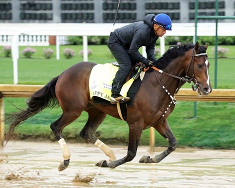 Happy Jack - Morning - CD - 050322