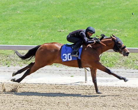 Hip 30 works in 10 apartments, YO-in 2 training discount Fasig-Tipton Midlantic 2 in 2022