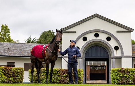 Aidan O’Brien with Derby trial winner Stone Age at Ballydoyle this morning.<br><br />
Photo: Patrick McCann/Racing Post<br><br />
09.05.2022