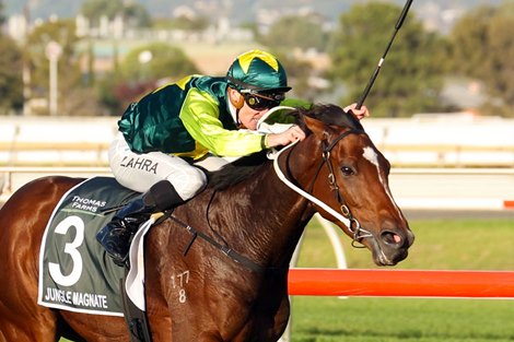 Jungle Magnate wins the 2022 South Australian at Morphettville Racecourse<br>
ridden by Mark Zahra and is Trained by Mick Price and Michael Kent Jnr