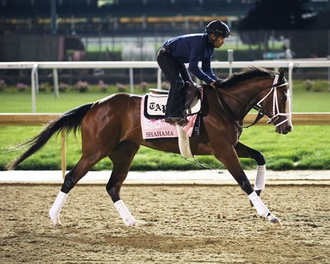 Shahama - Gallop - Churchill Downs - 05-05-22