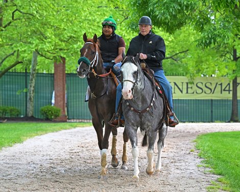 Secret Oath and D. Wayne Lukas on Riff<br>
Preakness coverage at Pimlico Racecourse on May 19, 2022.