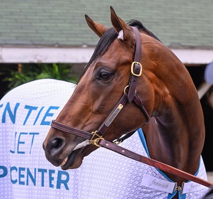 Epicenter stands quietly after his bath after track during training hours at Churchill Downs Race Track Wednesday May 4, 2022 in Louisville, KY