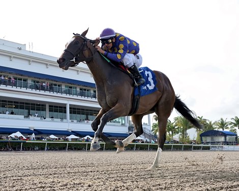 Spirit Wind wins the 2022 Musical Romance Stakes at Gulfstream Park