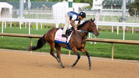 Echo Zulu works May 1 at Churchill Downs