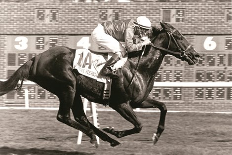 Royal Heroine wins the BC Mile at Hollywood Park, Nov. 10, 1984