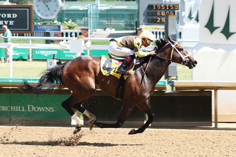 Caddo River - AOC - CD - 060522