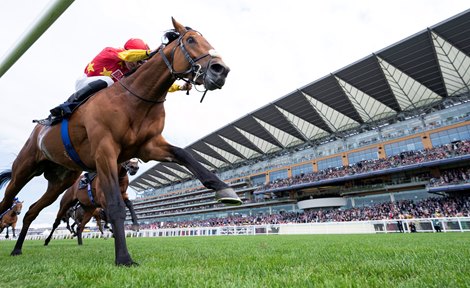 State Of Rest (Shane Crosse) wins the Prince Of Wales&#39;s Stakes Royal Ascot 15.6.22 Pic: Edward Whitaker