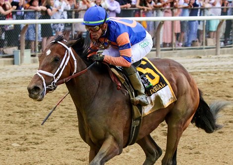 Mo Donegal with Irad Ortiz Jr. wins the Belmont Stakes (G1) at Belmont Park in Elmont, NY on June 11, 2022.