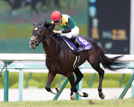 Titleholder wins 2022 Takarazuka Kinen at Hanshin Racecourse