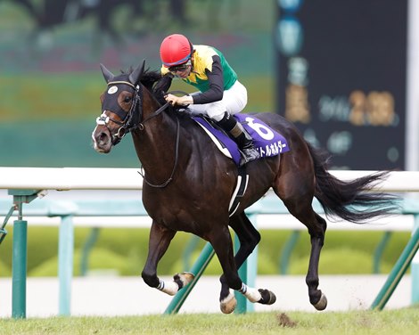 Owner wins Takarazuka Kinen 2022 at Hanshin Racecourse