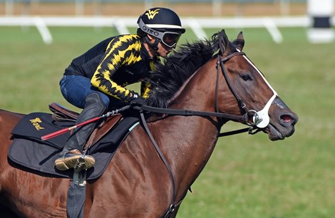 Golden Pal breezes five furlongs in 1:00.00 on the turf Sunday, June 5, 2022 at Keeneland. © Rick Samuels 2022
